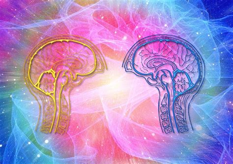 Massive study reveals few differences between men's and.